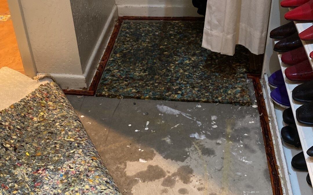 Paradise Valley, AZ: Water Damage