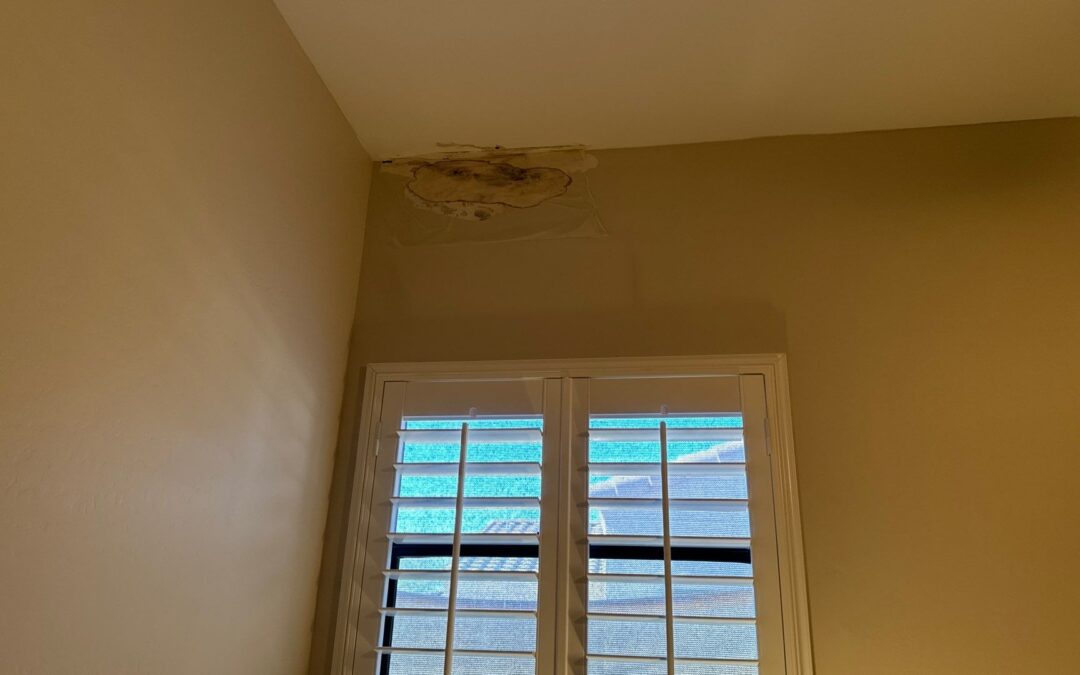 Restoring Peace of Mind: A Water Damage Company’s Inspection