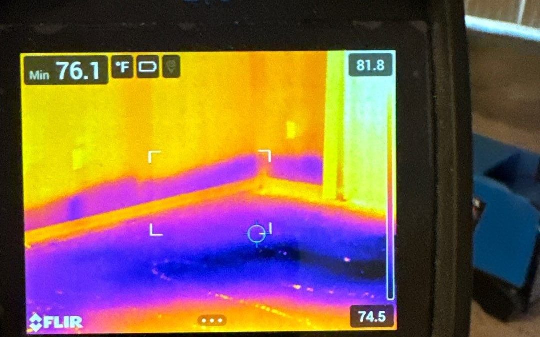 Maximizing Efficiency with Thermal Imaging in Water Damage Dry-Out Services