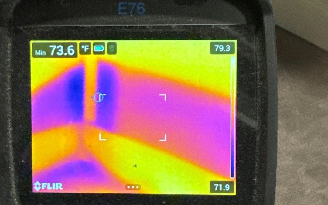 The Power of Thermal Imaging: Enhancing Dry-Out Services at Phoenix Water Damage Services