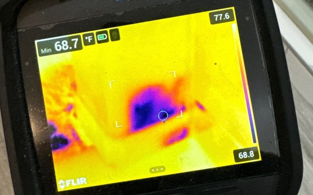 Understanding the Benefits of Thermal Imaging in Water Damage Restoration