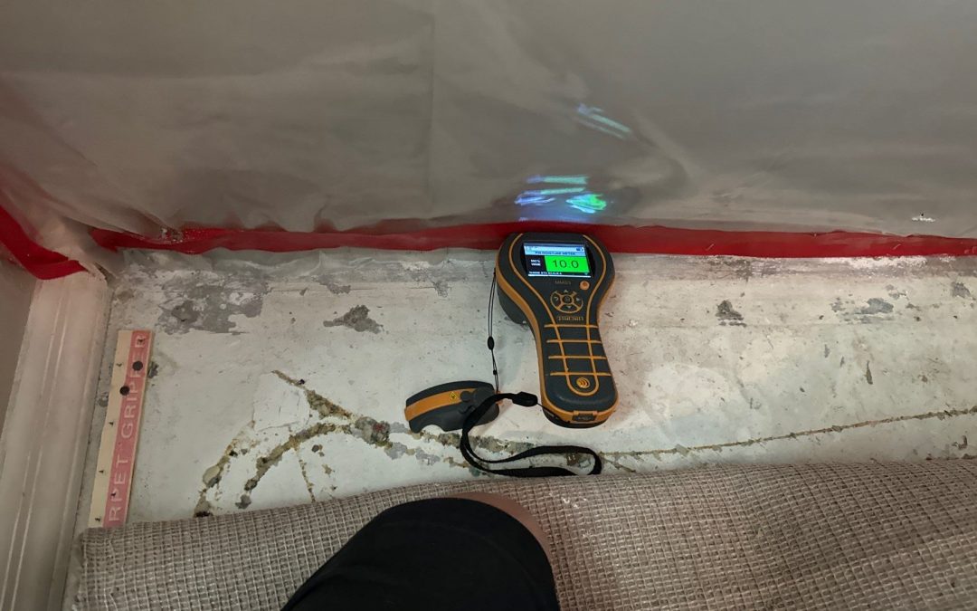 Why Phoenix Water Damage Services Uses Pinless Moisture Meters for Efficient Dry-Outs