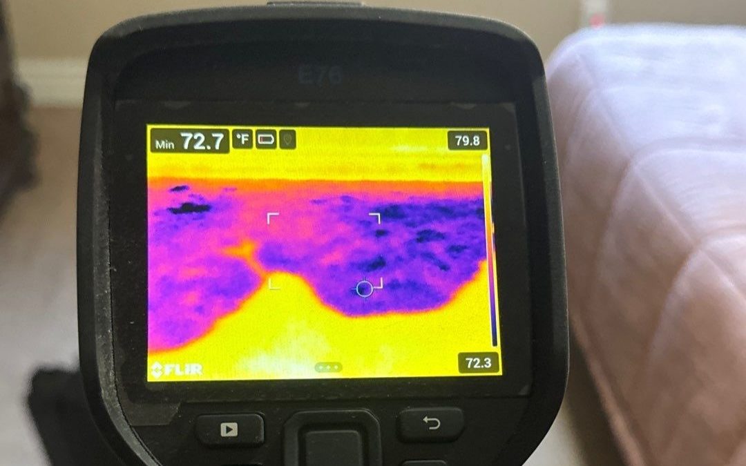 How Phoenix Water Damage Uses Thermal Imaging to Optimize Dry Out Services