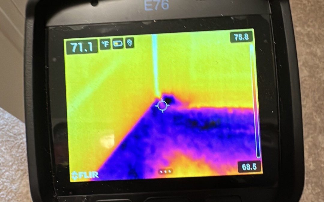 How Thermal Imaging Helps Phoenix Water Damage Services Provide Superior Dry-Out Solutions