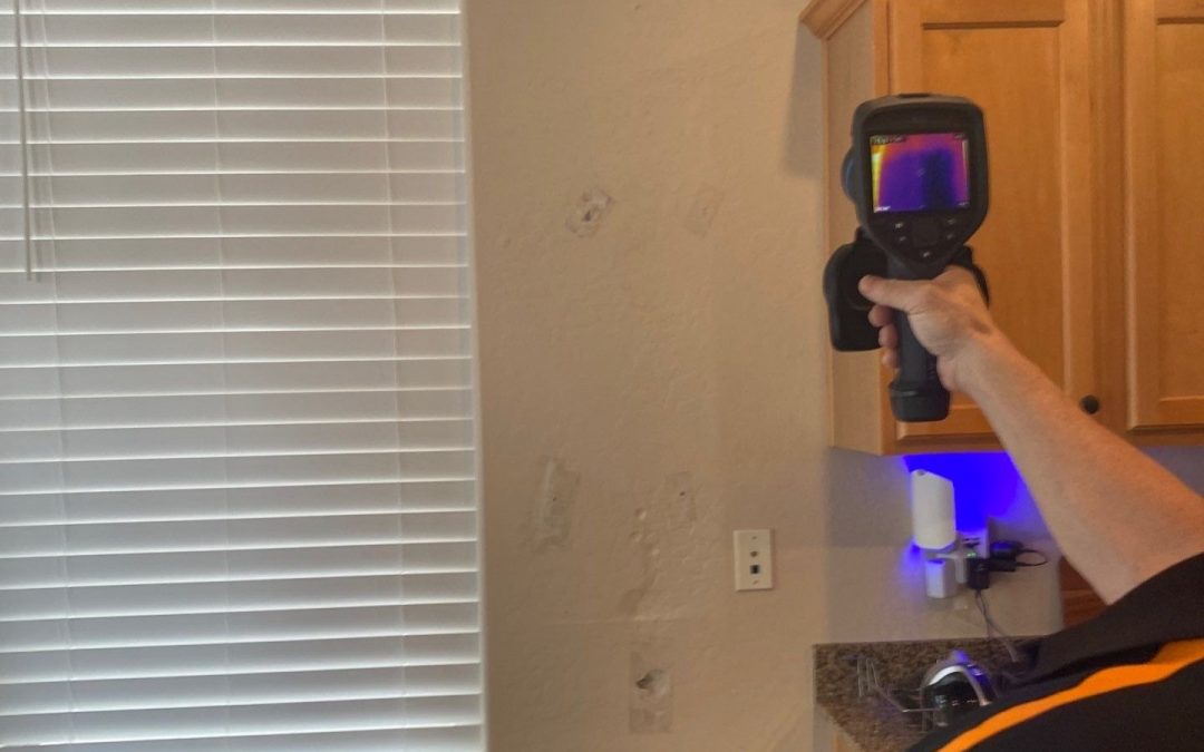 Phoenix Water Damage Services: Local Experts Using Thermal Imaging for Smarter Dry-Outs