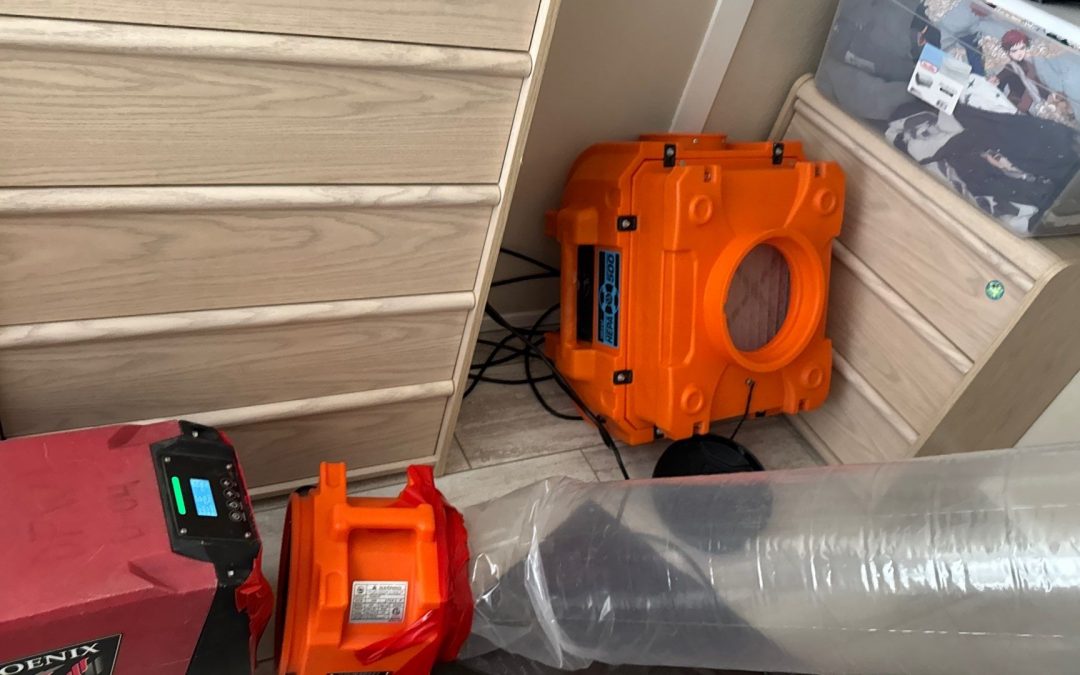 Local Dry Out Services After Water Intrusion in Phoenix, AZ