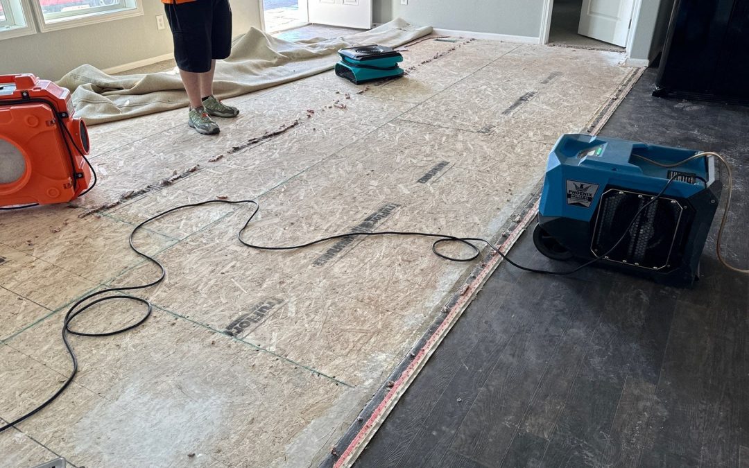 Rapid, Reliable Water Damage Restoration with Phoenix Water Damage Services