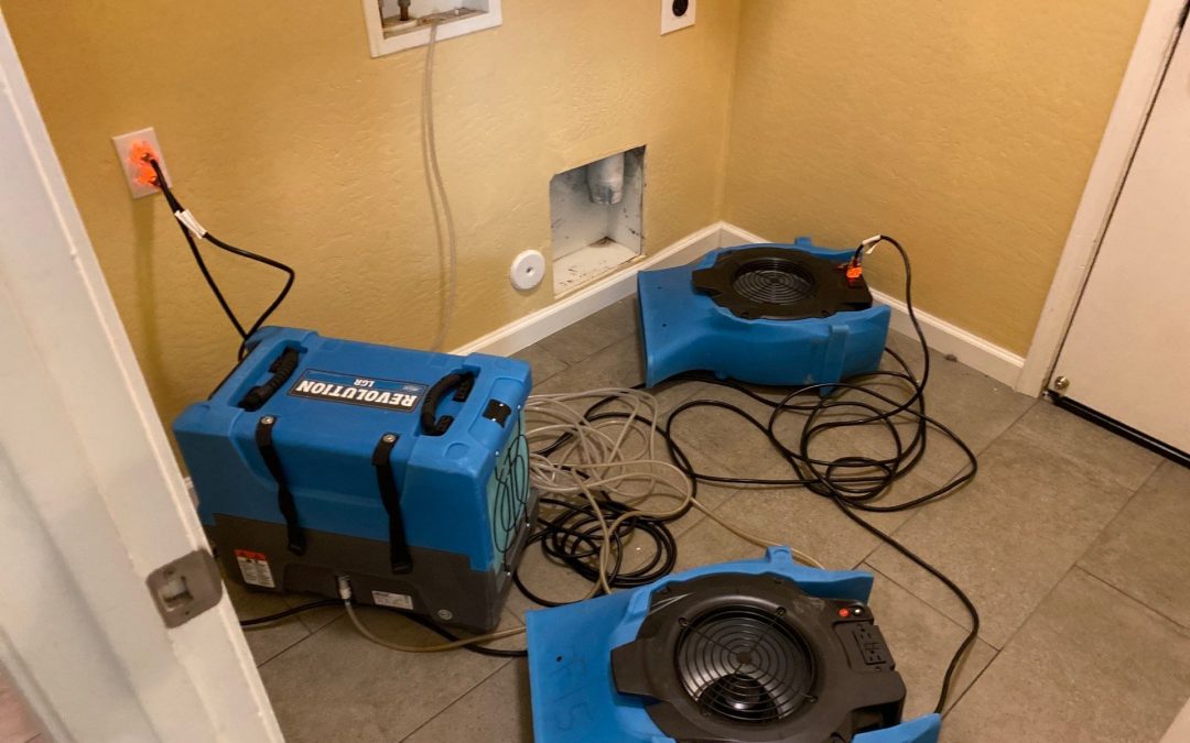 Advanced Equipment for Fast Water Damage Dry Out in Phoenix